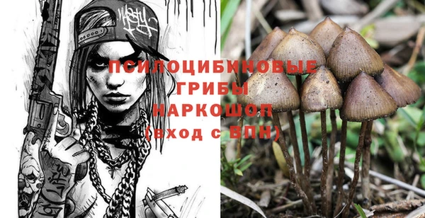 герыч Алексин