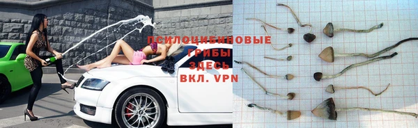 соль курить ск Алзамай